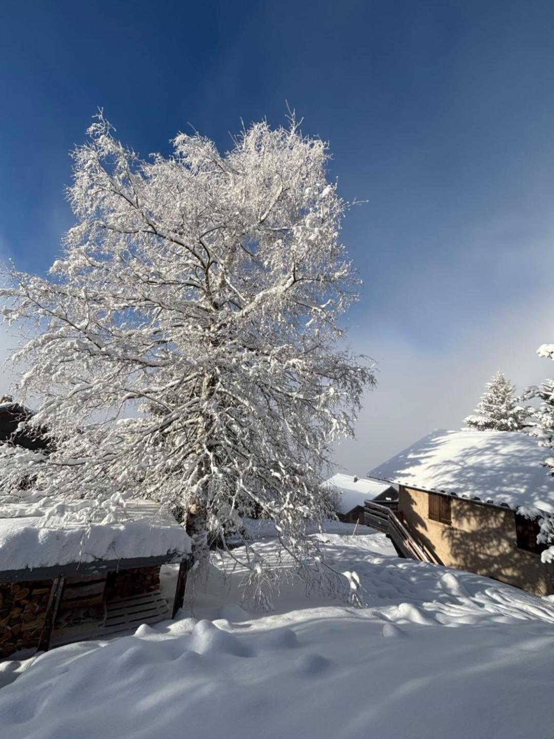 Chalet Rouge Ou Blanc Villard-Reculas Exteriör bild