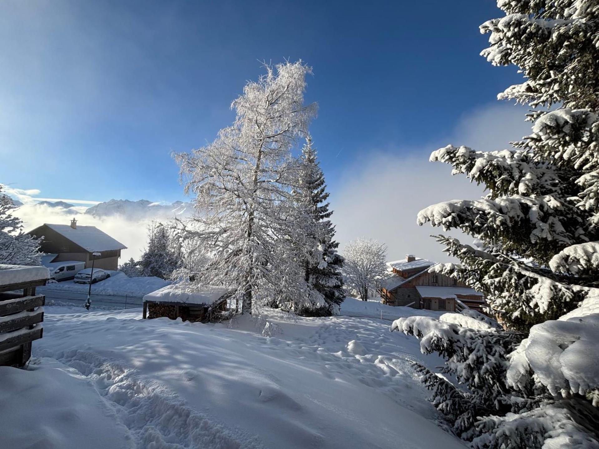 Chalet Rouge Ou Blanc Villard-Reculas Exteriör bild